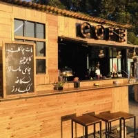 استخدام نیرو خانم