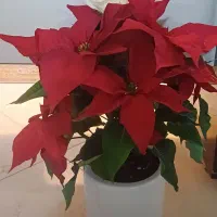 ۶۵ متر تسلیحات