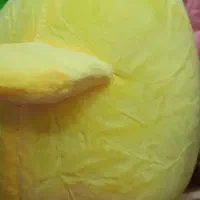 جوجه جوجه طلایی تو دوست خوب مایی|اسباب‌بازی بچه|لاهیجان, طالقانی|دیوار