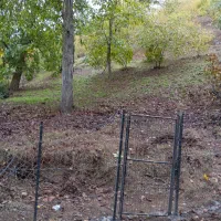 باغ فندق جای بکر معاوضه با پژو پارس خشک