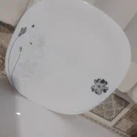 بشقاب آرکوپال
