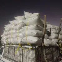 یونجه پودر شده سبز درجه یک