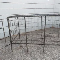 قفس بزرگ کبوتر ،مرغ