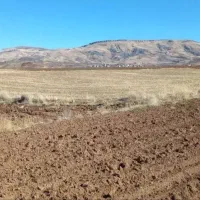 زمین کشاورزی چغاسعید