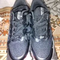 کتونی|کیف، کفش، کمربند|اسفراین, |دیوار