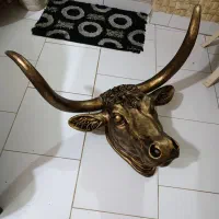 سردیس گاو دیواری