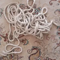 سرب پایین پرده