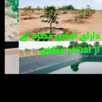 فروش زمین باغ دارای استخر و اصطبل اسب|فروش زمین و ملک کلنگی|مسجد سلیمان, |دیوار