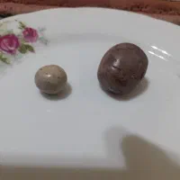 سنگ قیمتی|کلکسیون اشیاء عتیقه|بومهن, |دیوار