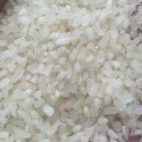 نیم دانه کامفیروزی