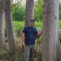 می‌خوای میلیاردر بشی حتما صنوبر بکار