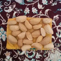 بادام مامایی