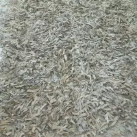 فرش چرم ۹ متری|فرش|آبادان, |دیوار