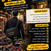 استخدام ویزیتور