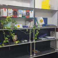 دکور|کتابخانه، شلف، قفسه‌های دیواری|قزوین, |دیوار