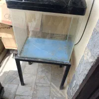 آکواریوم