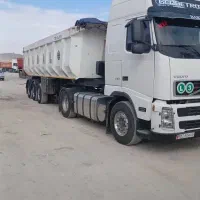 اف هاش 81 سرو ته