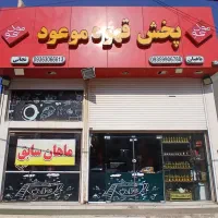 پخش قهوه موعود