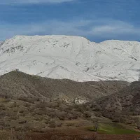 فروش زمین کشاورزی دیم