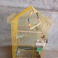 استان بوشهر شهرستان جم شهر ریز|لوازم جانبی حیوانات|ریز, |دیوار