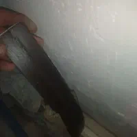 تاشو پی وی سی|عمدهفروشی|پارسآباد, |دیوار