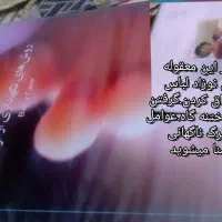 دی وی دی اورجینال آموزشی.درسی.تربیتی.تعلیم|خدمات آموزشی|تهران, تهرانپارس جنوبی|دیوار