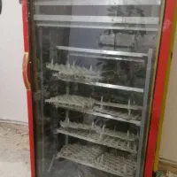 دستگاه جوجه کشی