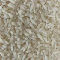 سرلاشه و نیم دانه برنج هاشمی امساله بدون واسطه