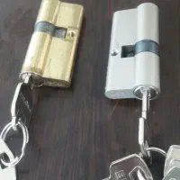 دو عدد مغزی در