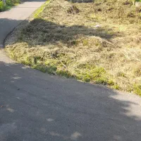 فروش زمین در شهرک با اصالت چسبیده ب نمک آبرود|فروش زمین و ملک کلنگی|هچیرود, |دیوار