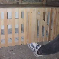 جفت کن کفتر|لوازم جانبی حیوانات|ساوه, |دیوار