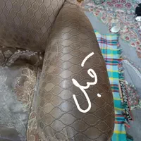 مبل شویی پاک در منزل|خدمات نظافت|آبیک, |دیوار