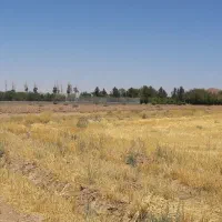 زمین هزارمتری باغی کاروانسرای مادرشاه مورچه خورت|فروش زمین و ملک کلنگی|شاهین‌شهر, مورچه خورت|دیوار