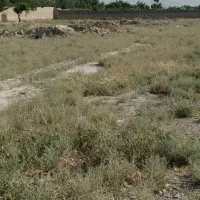 زمین فروشی