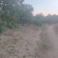 زمین کشاورزی روستای بیداخوید