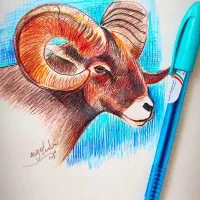 طراحی و نقاشی برای بانوان بصورت خصوصی