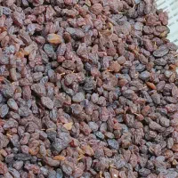 کشمش افتابی و تیزابی و مخصوص آبگیری|خوردنی و آشامیدنی|رودسر, |دیوار