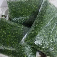 انواع سبزی اندیمشک