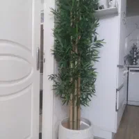 درختچه مصنوعی بامبو