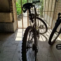 دوچرخه دماوند