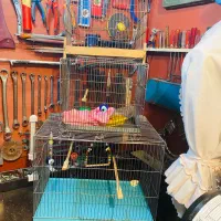 قفس پرنده سه عدد دست باف