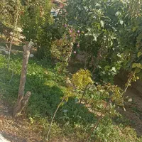 فروش-زمین-در-آذرسا3