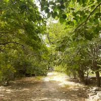 باغ کهن با اصالت، سنددار، با بناقدیمی و خونه باغ