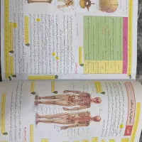 حاشیه نویسی یازدهم|کتاب و مجله آموزشی|اهواز, لشکرآباد|دیوار