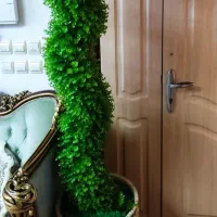 درختچه مصنوعی|گل مصنوعی|آمل, |دیوار