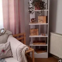 قفس کتاب یا دکوری یک جقت