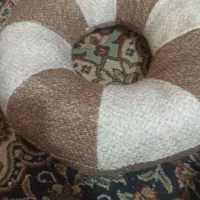 نشیمن طبی مناسب برای راننده ها وغیره