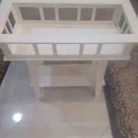 فروش استند گل|گل و گیاه طبیعی|شیراز, نصر|دیوار