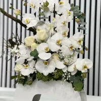 گلفروشی گلاریس باکس مجلل گل ارکیده