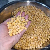 نخود|خوردنی و آشامیدنی|تهران, صالح‌آباد شرقی|دیوار
